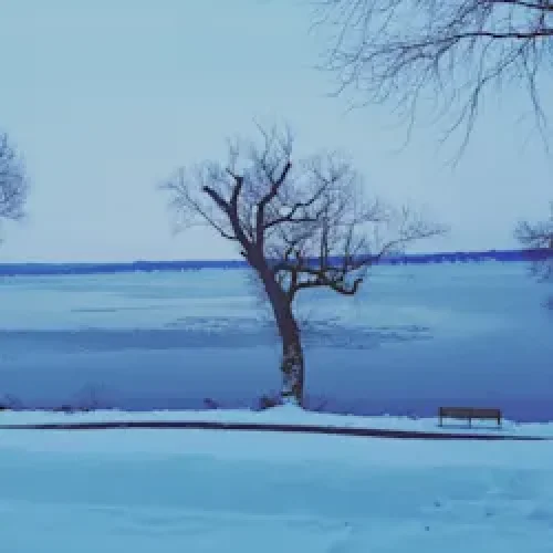 5870ca0d-f0cc-44cb-94b4-05dc64b5d019